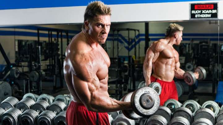 Muscle and Gains tweet media