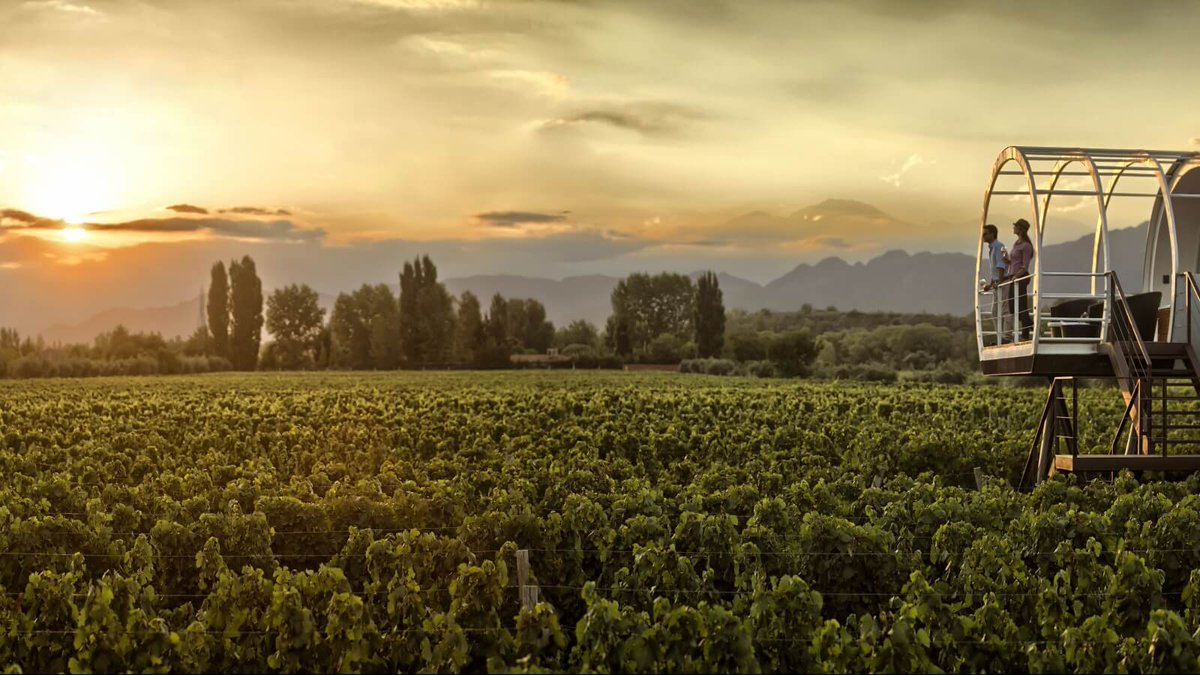 acrossar's tweet photo. Discover #food &amp; #wine paradise. Combine the #enjoyment of #culinary art &amp; the best local #wines with a pleasure trip in #SouthAmerica. Find the perfect #experience for you! >> https://t.co/ZRBr4CyJm1 << #Foodies #winelovers #Travel #Voyage #places #Destinations #vines #gourmet https://t.co/IJGrQUkkaz