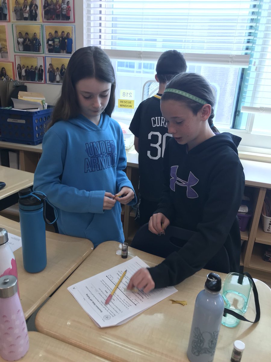 Environmental Engineering today! Testing water and soil samples to check PH levels! #BSCSD #pollutionsolution #greentownnotsogreen @GordonCreekElem #mrslarowe