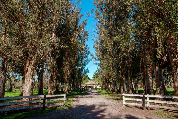 La tranquilidad de la vida rural hace de Estancia Fangio #Balcarce by <a href="/EsplendorH/">Esplendor Hoteles by Wyndham</a> uno de los rincones favoritos de grandes y chicos de toda nuestra llanura pampeana. 
bit.ly/1RmvHz6
#ViviConEsplendor
#ExperienciaEsplendor