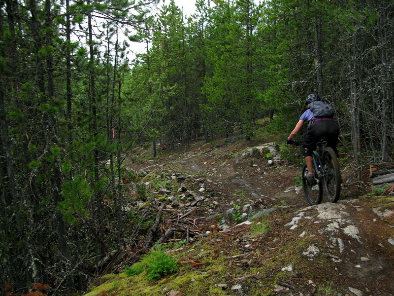 double black diamond mtb