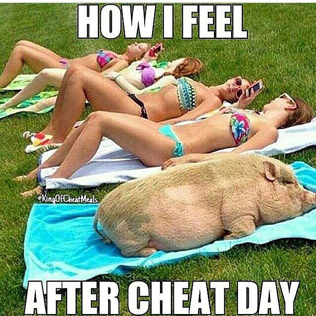 Fitness Advisor (@advisorfitness) on Twitter photo 