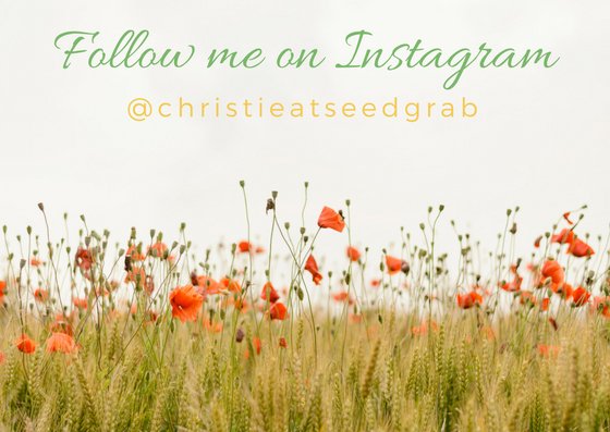 SeedGrab's tweet photo. Follow me on Instagram! Cool plant pics everyday. https://t.co/kRcQrJtEpS