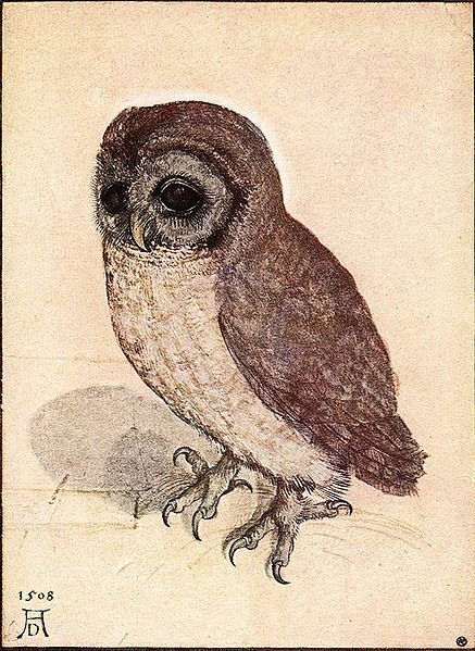 A very happy birthday to #AlbrechtDürer, one of the most influential artists in history was born #OnThisDay. Here is his "The Little Owl" #FAU