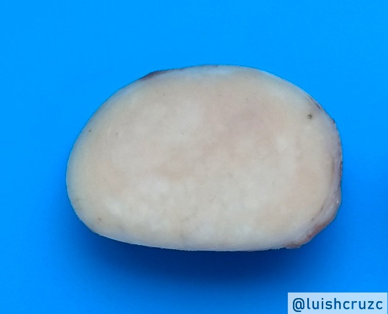 Luis Humberto Cruz C tweet media