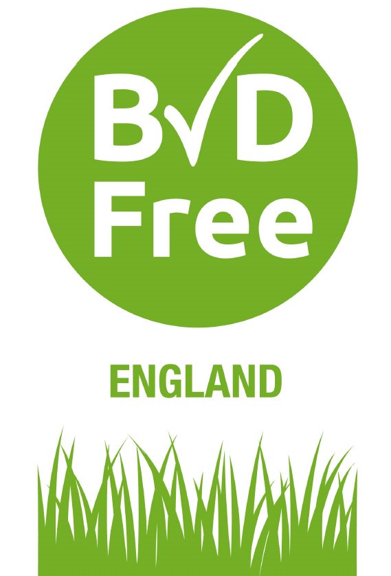 Break FREE from BVD

Achieve BVD Free status for your herd.

Join the BVDFree Scheme today and help create a BVDFree England

bvdfree.org.uk

Talk to our team today 01363 772860