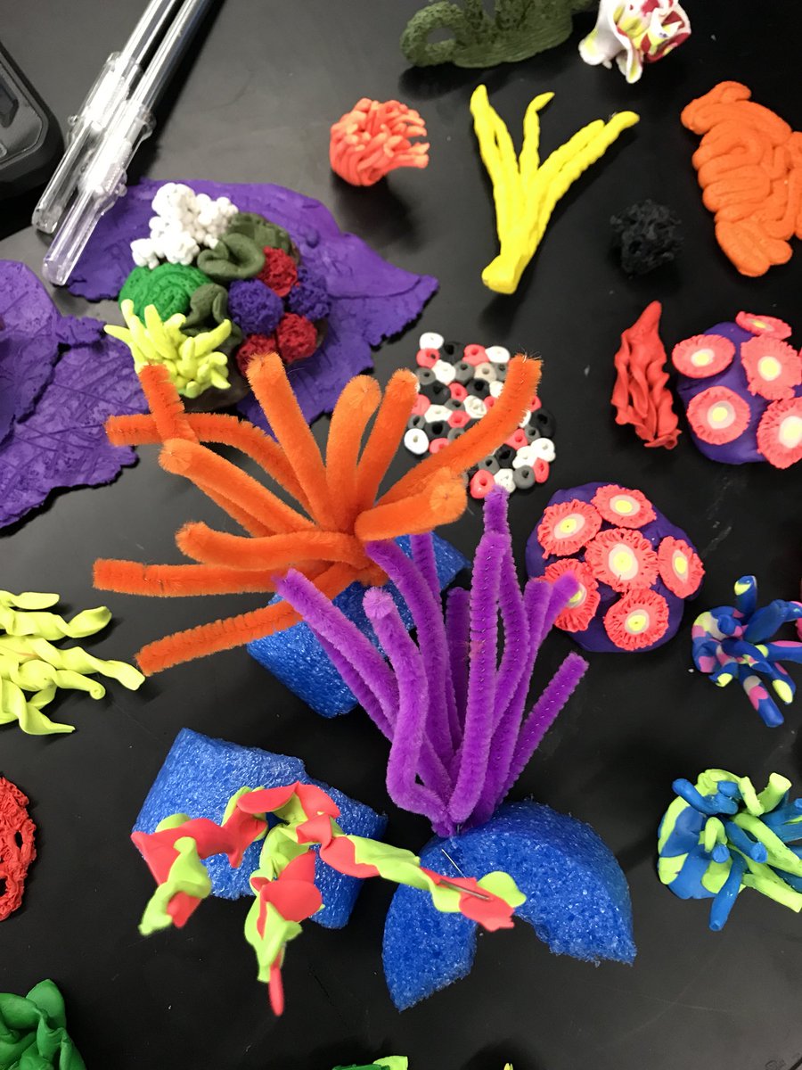 soupergrrl's tweet image. I love these coral reef examples for Team 56’s sea life community!!  #pahs9 #pisdcreatesart