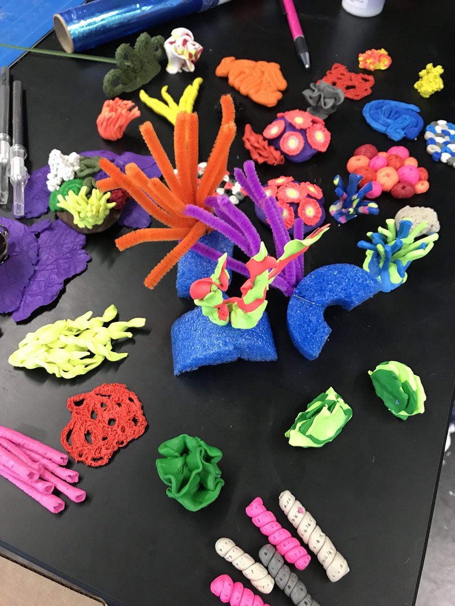 soupergrrl's tweet image. I love these coral reef examples for Team 56’s sea life community!!  #pahs9 #pisdcreatesart