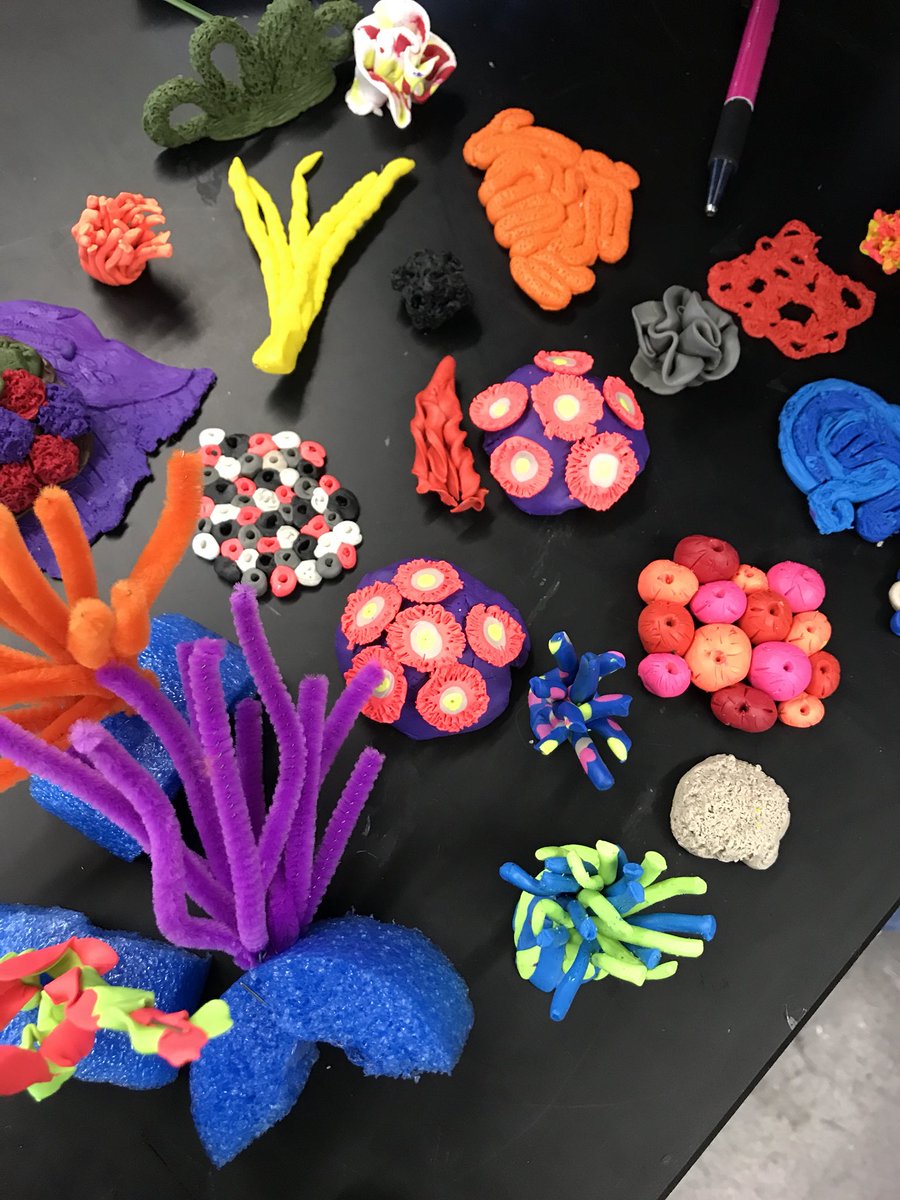 soupergrrl's tweet image. I love these coral reef examples for Team 56’s sea life community!!  #pahs9 #pisdcreatesart