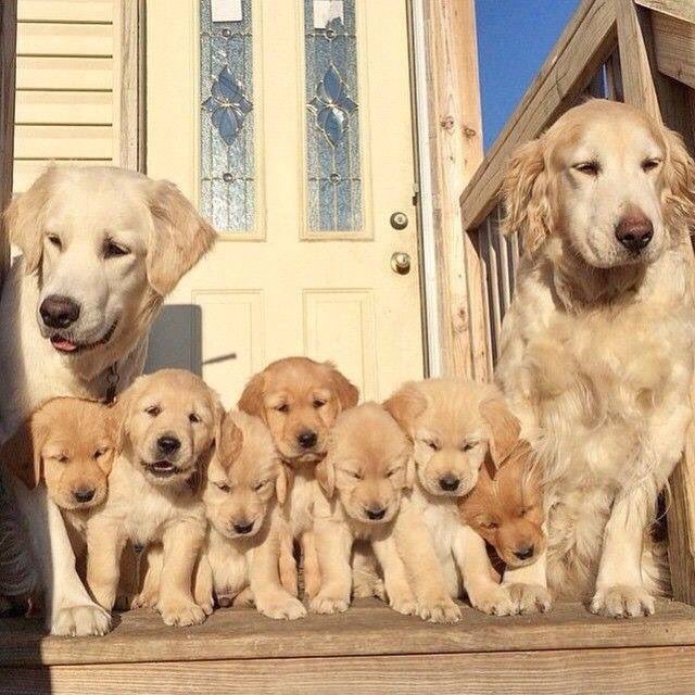 The Family Portrait :D