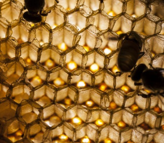 As we wrote in a piece earlier last week. #urbanfarming must be more than just #yield 
Perhaps, it can be about #joy ? The joy or #reconnecting #humans to #nature through #biophilicdesign
What do you think? Does nature make you feel good as well?
buff.ly/2rTfzOa