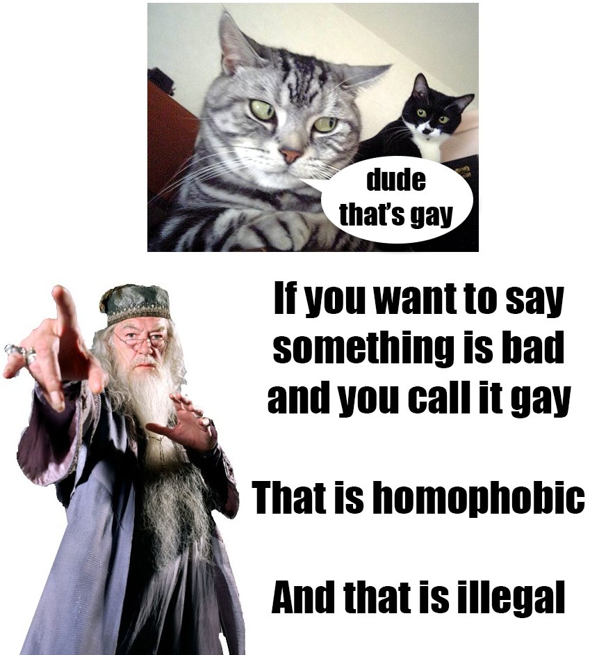 Scarfulhu's tweet image. At my old school, there used to be a poster on one wall designed by one of the teachers to combat homophobia. The problem is that it was a borderline shitpost. I haven't got a picture of the original, but I recreated it using the same images. Here is what it looked like: