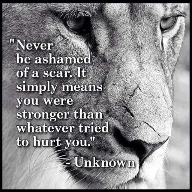 FitDaily1's tweet photo. https://t.co/y0ef6g1GK9