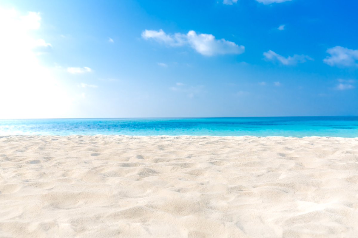 Summer madness here at Team FWC
40% OFF ENTIR  RANGE!!!!! Go to frederickwilliam.clothing today. #wherewillyouwearyours #clothing #summertime #sale #eventing #polo #sport #sailing #rowing #beach #holiday #SummerMadness