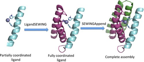 JCIM_JCTC's tweet photo. Protocols for Requirement-Driven Protein Design in the Rosetta Modeling Program https://t.co/dSqioR0Vbl #protein_design https://t.co/3EJTRUKiqn