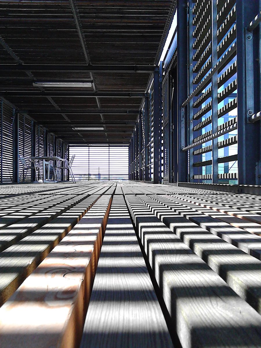 nizzle_fe_shizz's tweet image. Yet another nice #shadowplay on the roof-terrace @mpicbg. #CorrelativeWoodAndLight #LightIllusion #LunchAtTheRoof
