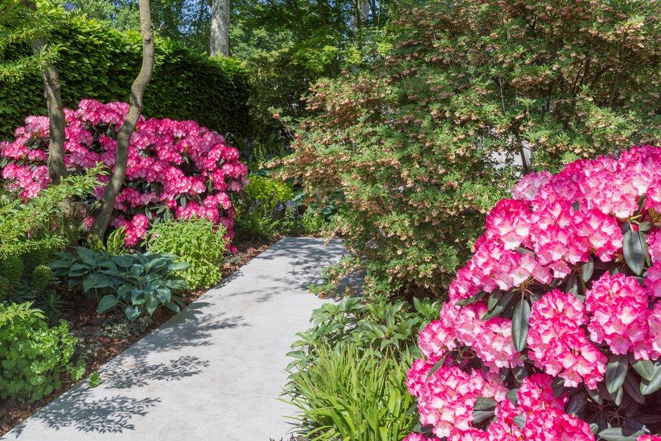 The <a href="/MorganStanley/">Morgan Stanley</a> Garden for the <a href="/NSPCC/">NSPCC</a> has been designed by <a href="/chrisbeardshaw/">Chris Beardshaw</a> to raise awareness of the NSPCC's work. The garden includes a range of acid-loving woodland plants, with stunning splashes of blues, pinks and purples! rhs.org.uk/shows-events/r… #RHSChelsea