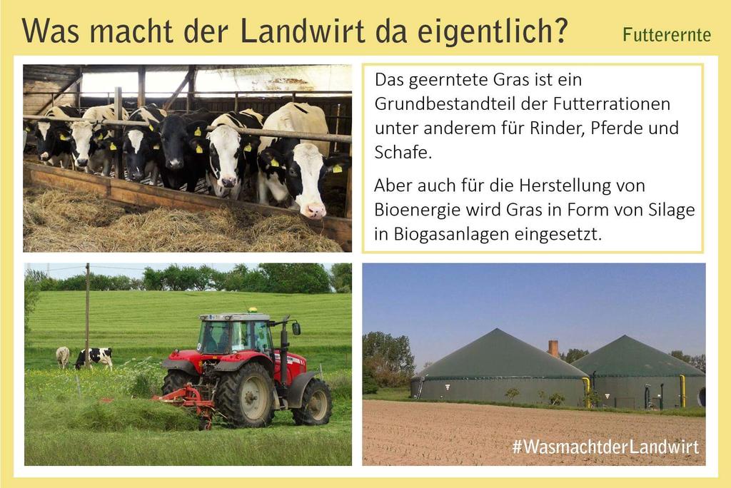 bauern_mv's tweet photo. #WasmachtderLandwirt. Die #Grasernte hat begonnen. Das machen die #Landwirte mit ihrem #Gras: https://t.co/gIIGTRJb7c
