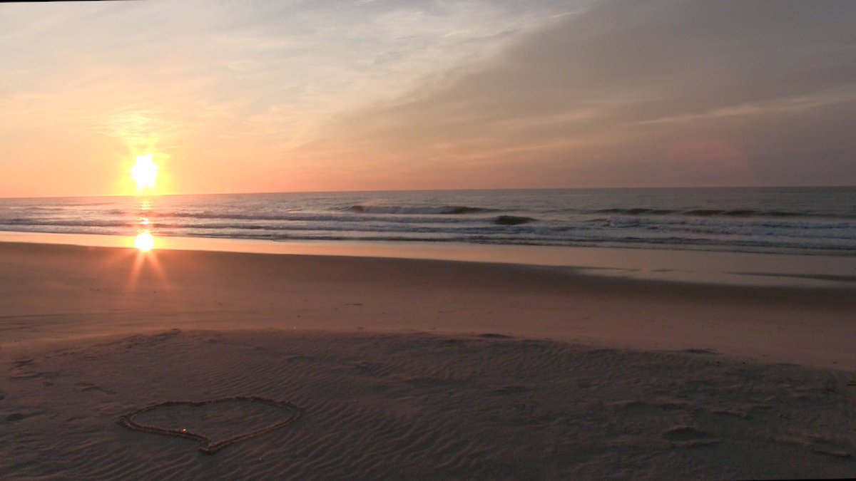 jack bushko tweet media