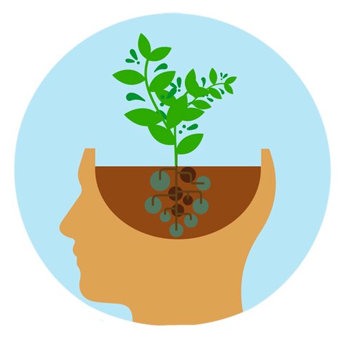 The garden of the world has no limits except in your mind.
~ Rumi