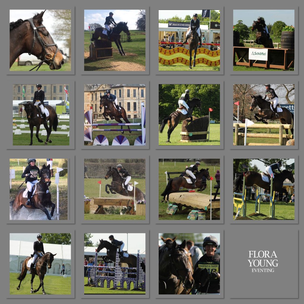 Dolly started 2018 at Novice and has completed double clear in her second CIC2*. Do I think she will go 3*? Yes I firmly believe she can, and next year? Well I know what my sights on...join us on our journey as part of a syndicate or as co-owner.  #eventing #horsehour