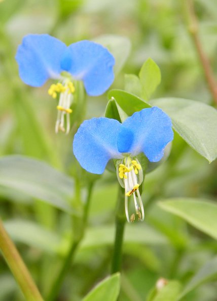 DduIQDEVMAAaNXu.jpg?format=jpg