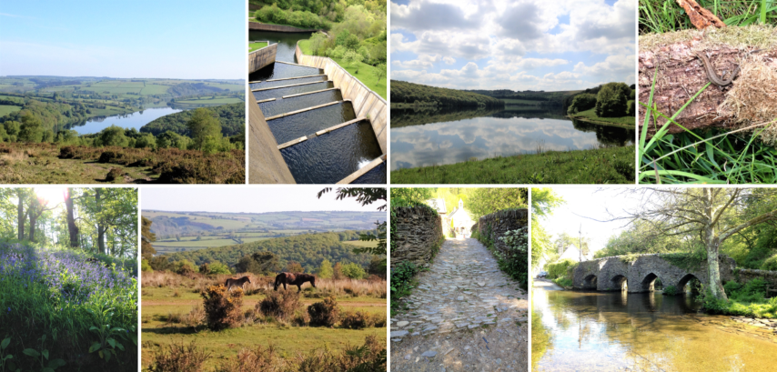 CherryEstates's tweet photo. Weekend away on #Devon #Somerset boarders #wildcamping. Exploring #hiddenvalleys &amp; #moorland. @wimbleball #HaddonHill #exmoor #reflections #wildponies @VisitSomerset @visitexmoor #ExmoorNationalPark #WalkThisMay. Why go abroad with stunning countryside like this?! @VisitEngland https://t.co/OCpJ617iMk