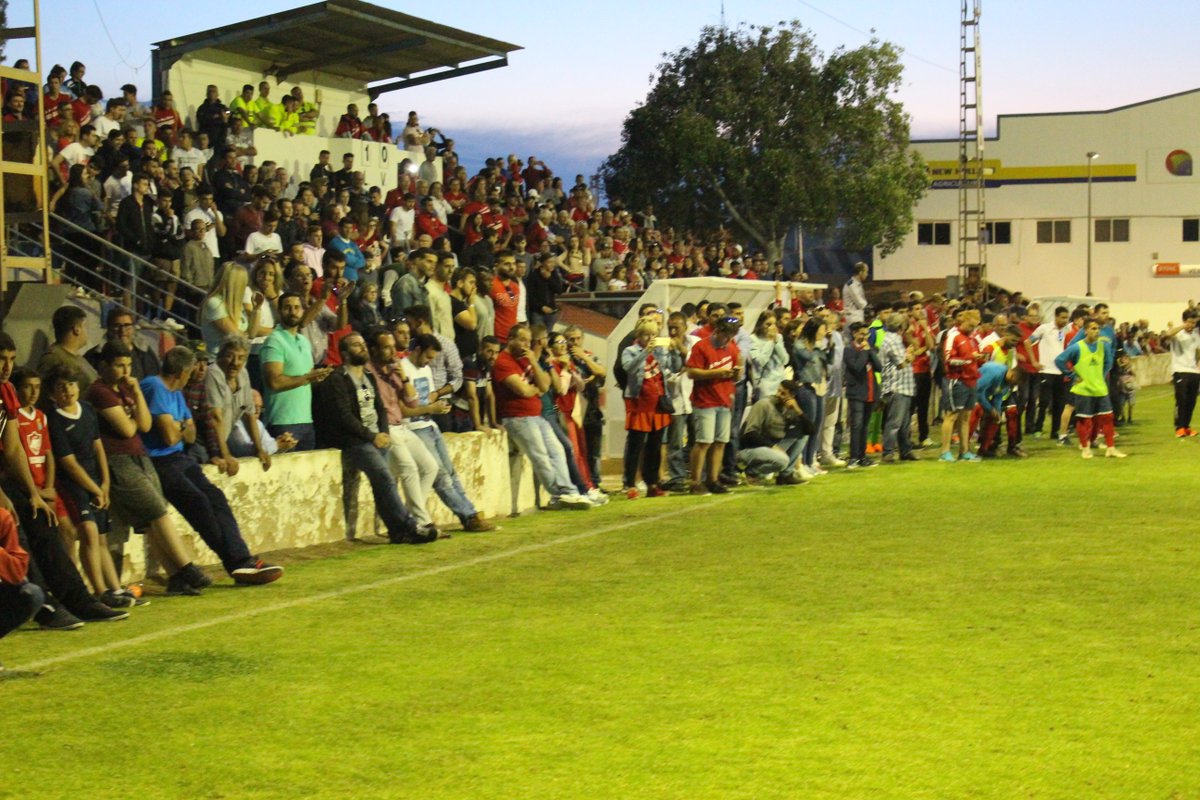 Pilar de la Horadada tweet media