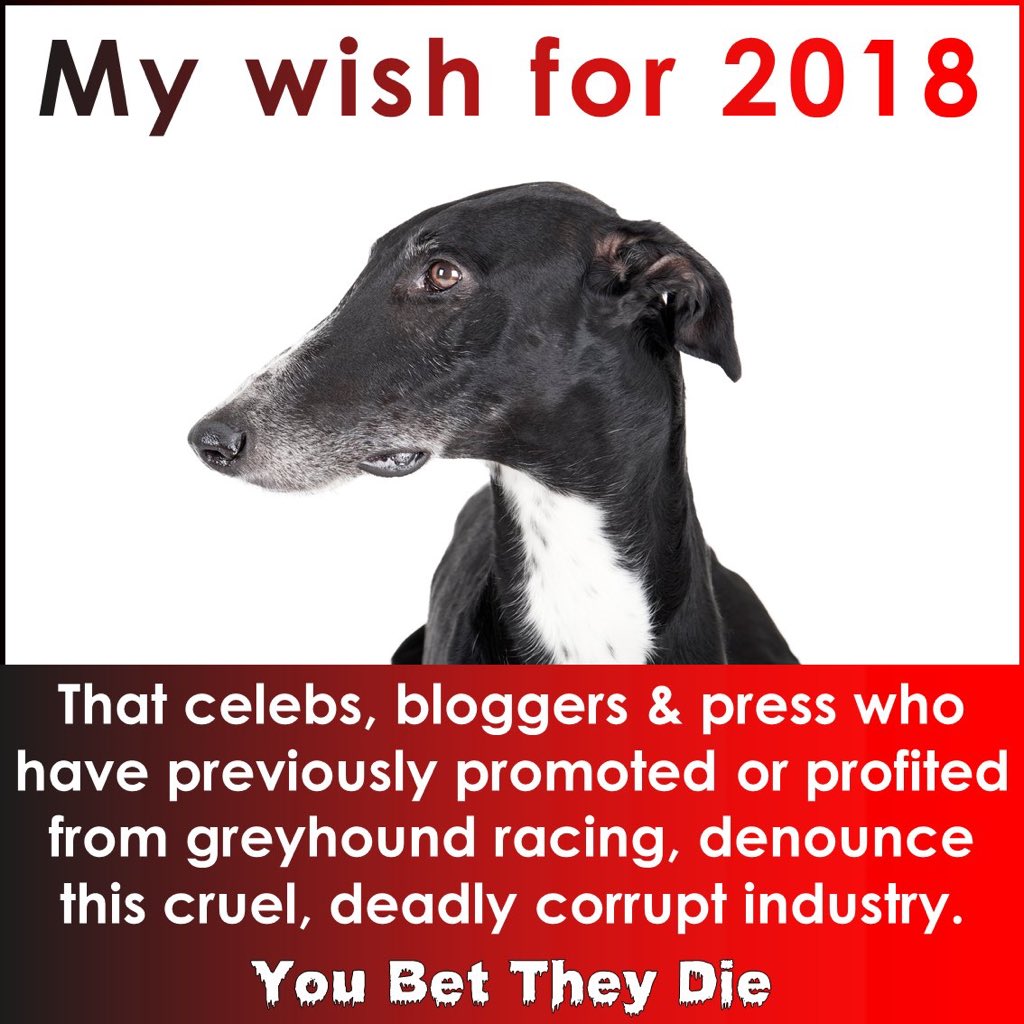 nuhares's tweet photo. @PetLevrieri @greys1voice @GreyhAwarenCork @CandyCaneRescue @banbloodsports @SOGR24606384 @CAGEDnw @BGPuk @GreytEscapes @Greytexposers @GREY2KUSA 69 out of 500 racing #greyhounds in the first 4 months of #2018 😵😵😱😱 these r spine-chilling figures!! So #uk loves the dogs #MeghanMarkle ?? 😵😨😱@RoyalFamily @ClarenceHouse @KensingtonRoyal #BanGreyhoundRacing in #uk #TimesUp it's #time2ban it #CompassionOverCruelty https://t.co/Sj1VPuoXgk