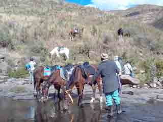 MalibaLodge's tweet photo. Few Photos Of Our Guests This Past Weekend During A Horse Ride And Community Tour!
https://t.co/v9s4irosS4
reservations@maliba-lodge.com https://t.co/JpH8eyDzGO