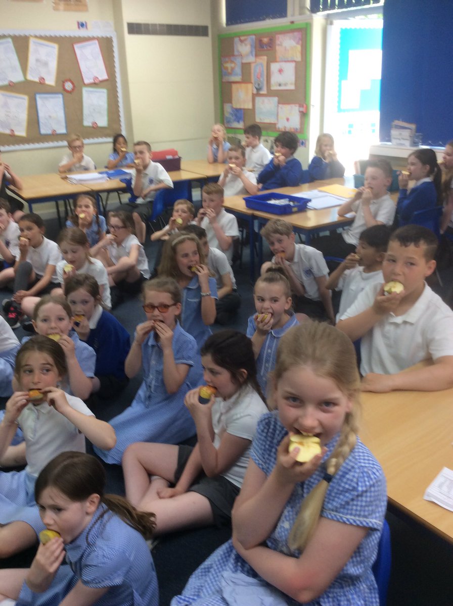 StMarysSchoolRC's tweet image. Year 4 using their incisors and molars to eat an apple #typesofteeth