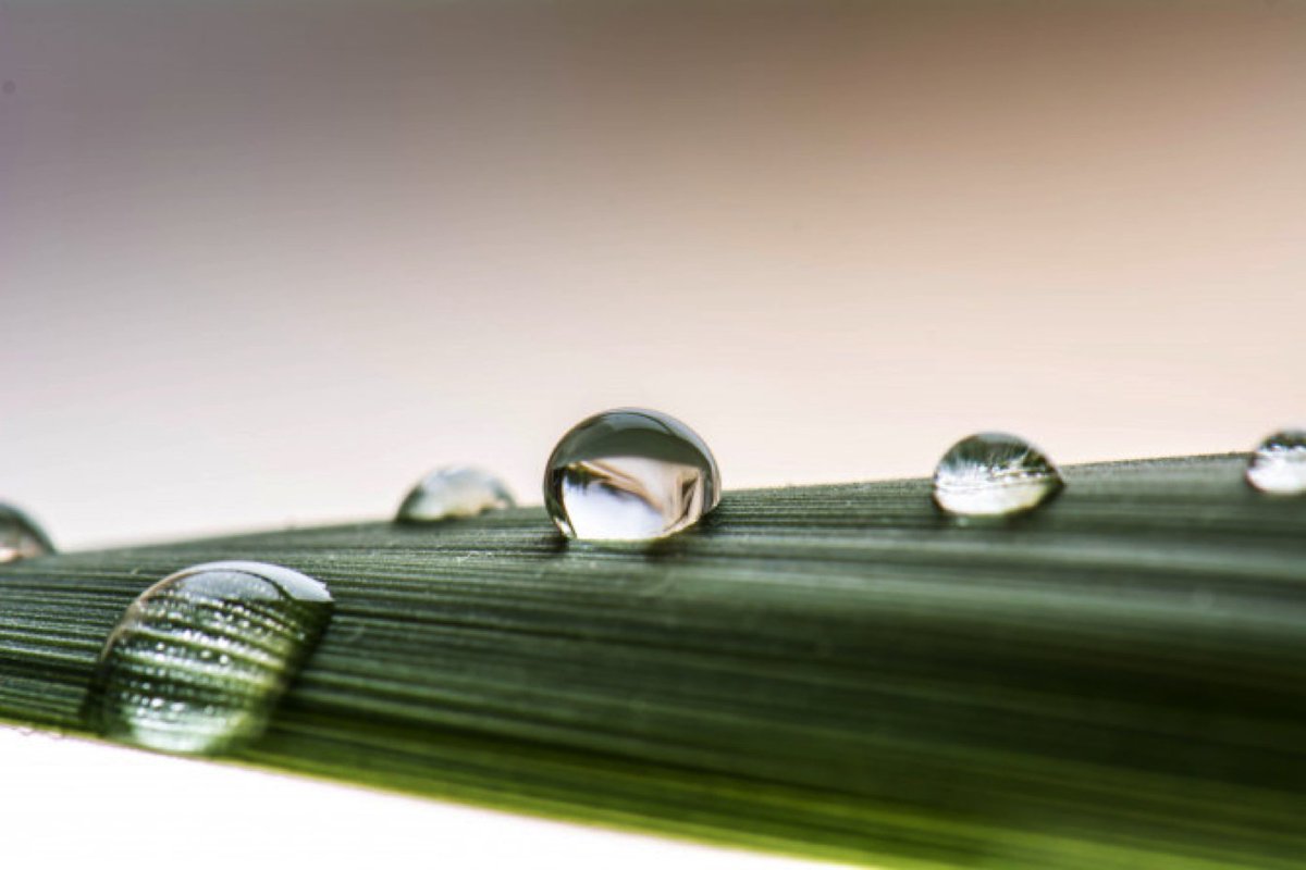 In light of our Instagram feature week being 'Water Week', check out our blog for a few tips and tricks for water droplet photography.
cameraland.co.za/5-tips-for-wat…