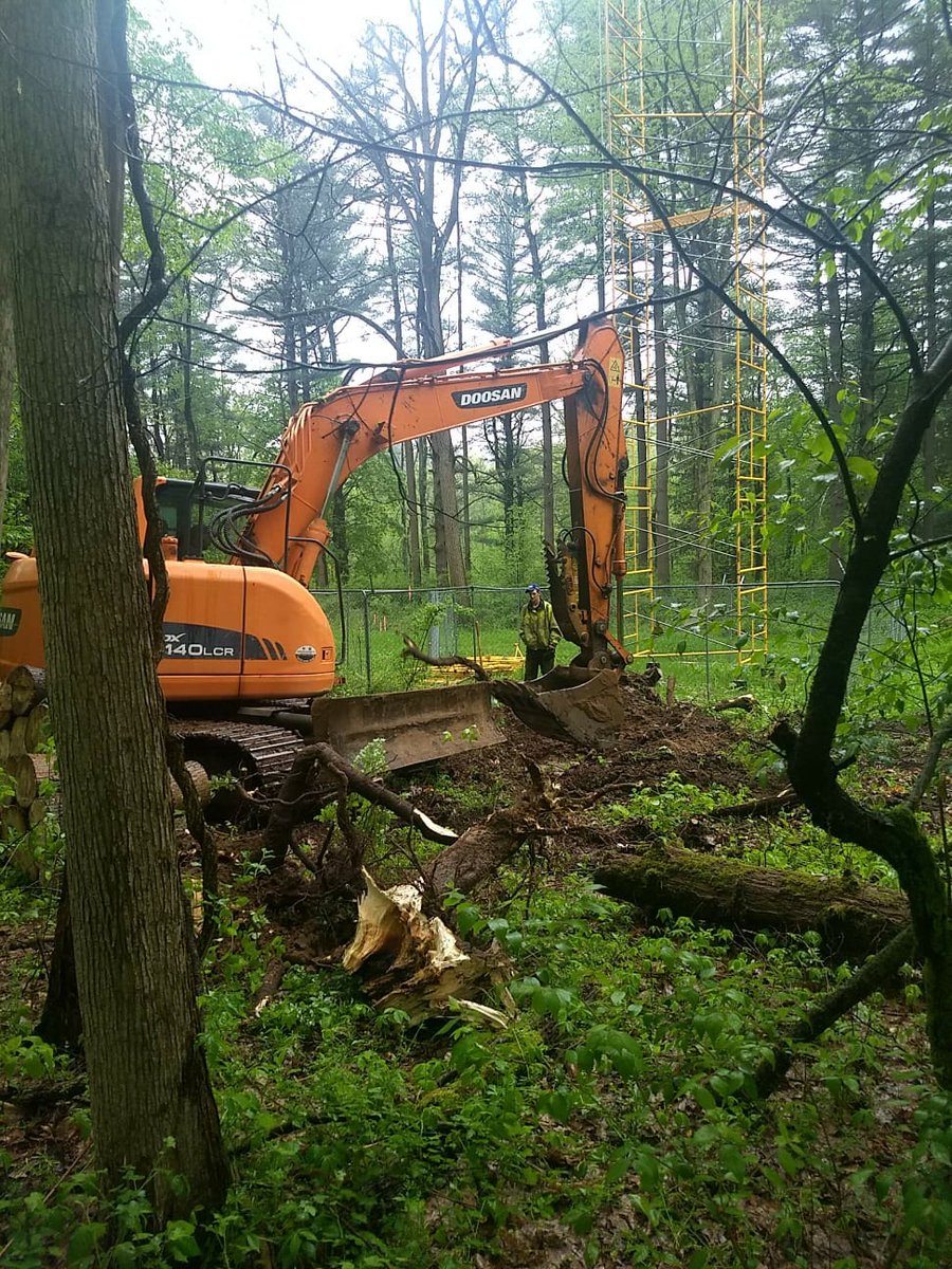 Landscape Ecology and Ecosystem Science Lab tweet media