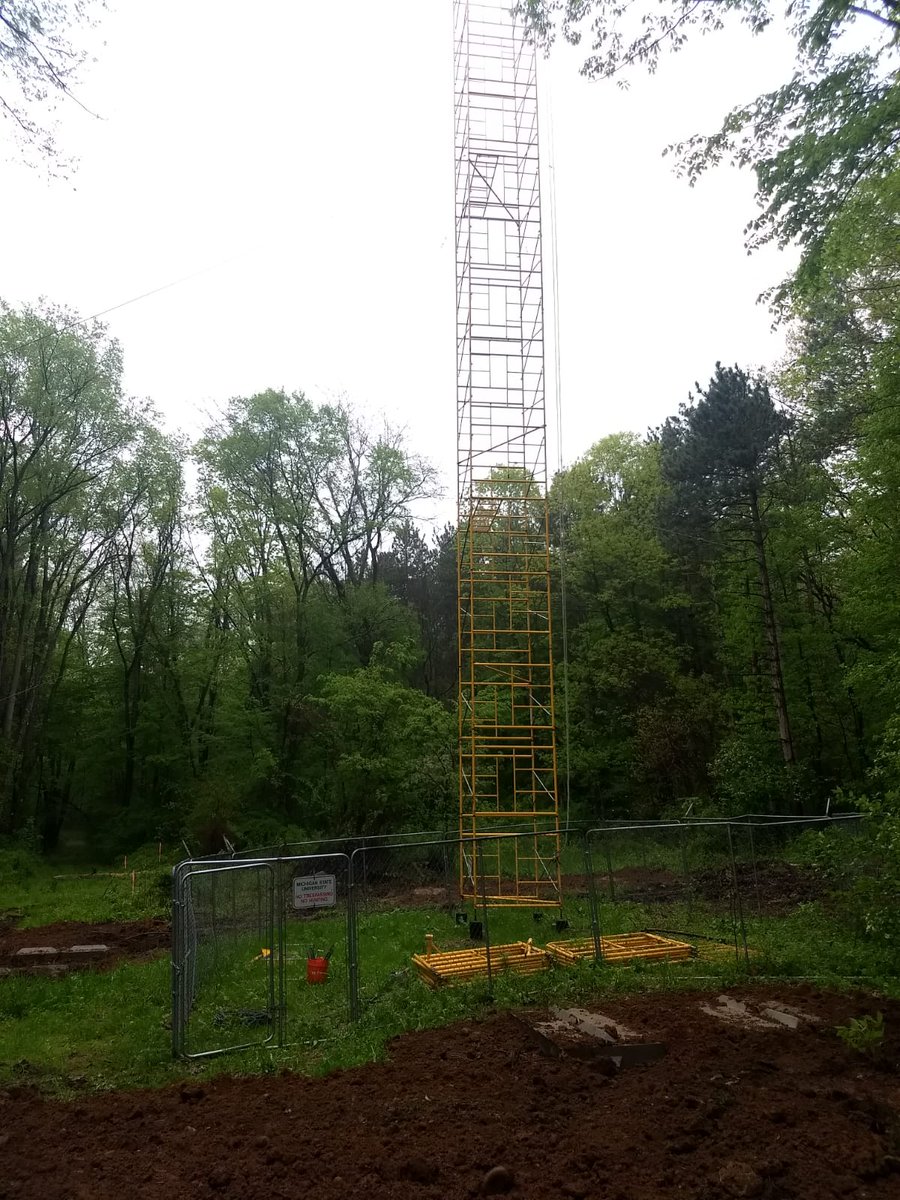 Landscape Ecology and Ecosystem Science Lab tweet media