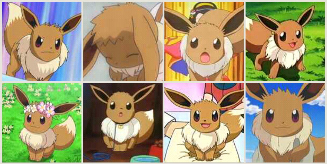 Mr エイト Twitterren アニポケには10人のイーブイ使いがいるよ ハジメ シゲル サクラ ハルカ ウララ バージル セレナ グラジオ イリマ カゲトラ 次の８体のイーブイは それぞれ誰のイーブイか解るかな W