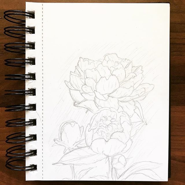 Image Result For łatwe Rysunki Do Narysowania Ołówkiem