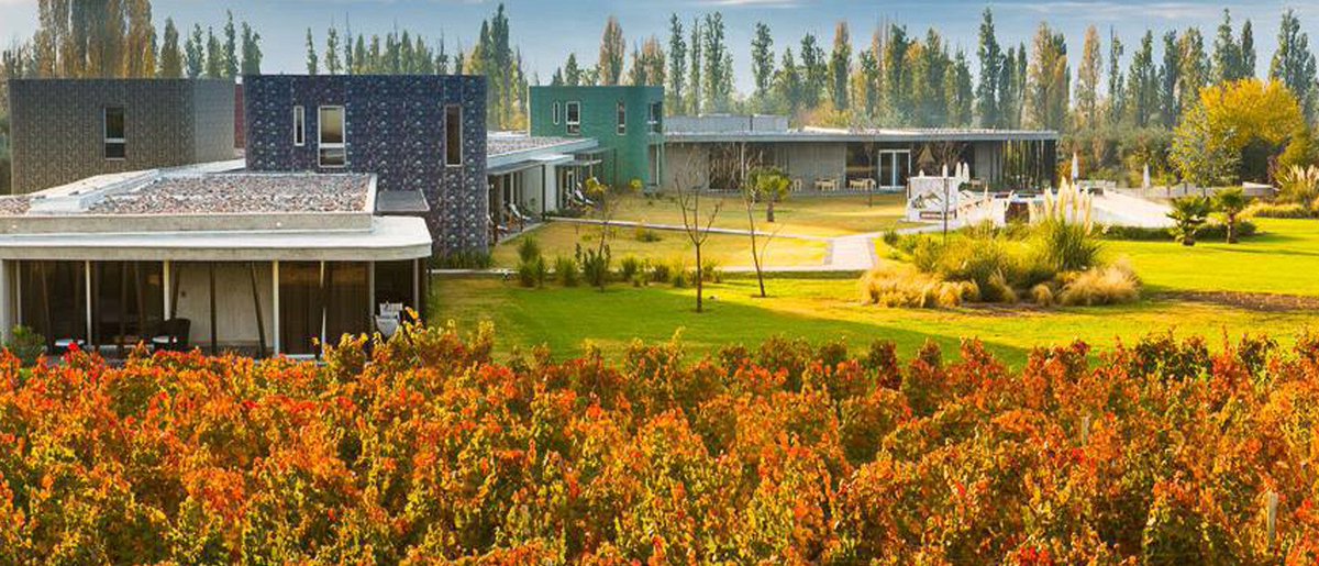 acrossar's tweet photo. Descubre el #Paraiso de la #Gastronomia y el #vino . Combina el disfrute de #experiencias con un #viaje de #placer, conociendo #Salta #Mendoza #BuenosAires y #Santiago. Encuentra la experiencia perfecta para ti! > https://t.co/l2yupW1Chx < #viajes #viajeros #lugares #Bodega https://t.co/mlKa5xeetB