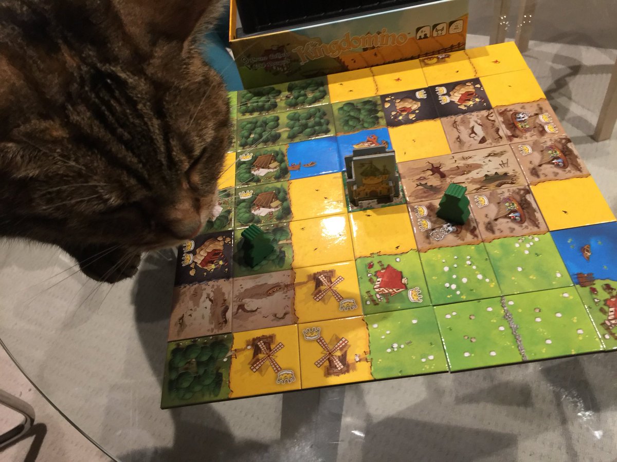 TheMotleyGeek's tweet photo. Some 2 player #Kingdomino with the 7x7 grid.
#TheMotleyGeek #LibbyLongbodyJujube #CatsOfTwitter #tabletop #tabletopgames #boardgames #boardgame #boardgamegeek #bgg #Fantasy #Medieval #AreaEnclosure #CardDrafting #TilePlacement #VariablePhaseOrder #BrunoCathala @BlueOrangeGames https://t.co/hxJ5b0St01