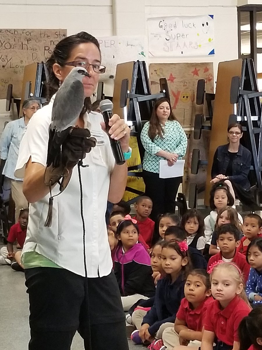 KaiserKISD's tweet photo. Our kiddos enjoying a great experience! Ty @HoustonAudubon for this learning time! #kaiserneverstopimproving https://t.co/KCspOhJBow