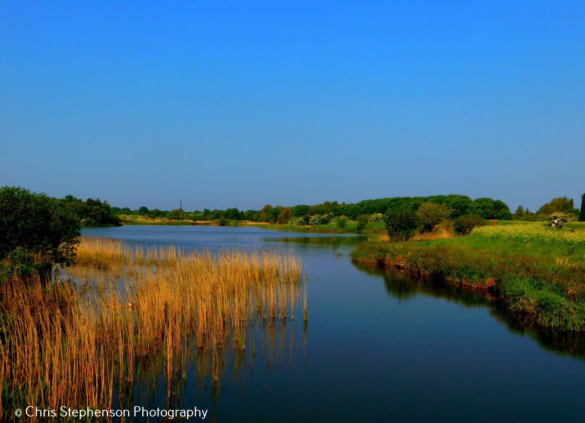 CSPhotoGB's tweet photo. Stunning weather again in #Lincolnshire today! #Cleethorpes looking awesome with beautiful, cloudless skies as we get closer to #Summer. Photo was taken at Country Park earlier today. @CleethorpesUK @VisitEngland @DiscoverNEL @LincsSkies #landscapephotography https://t.co/Vsbp8giwXL
