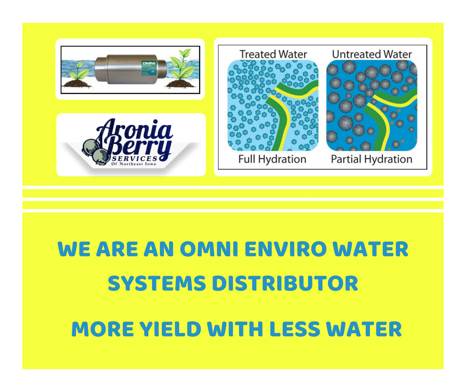 AroniaBerryServ's tweet photo. We are an Omni Enviro Water Systems distributor. Omni-treated water improves the health and productivity of all living cells. MORE YIELD with LESS WATER. Contact us at 319.240.4104 for more information! https://t.co/H5cRW9GJgK