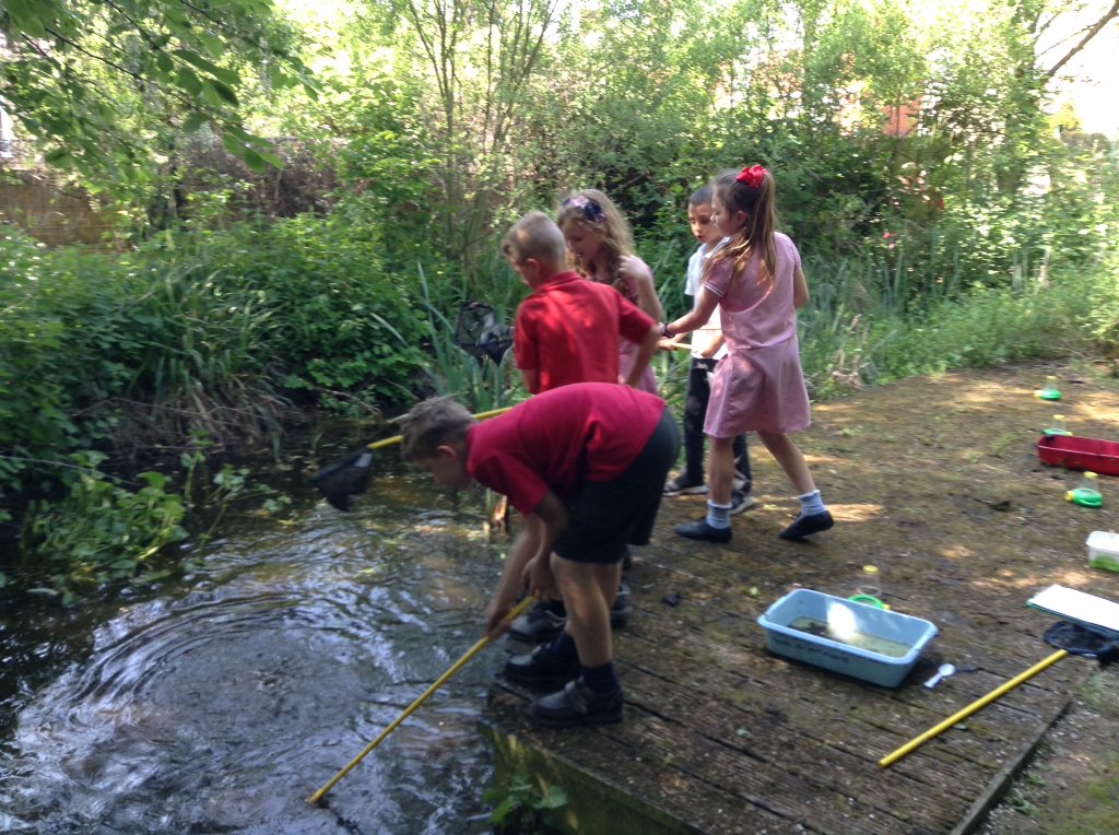RedlandsWorksop's tweet photo. Year 4 have been pond-dipping in our nature area this afternoon with Fran from @WorksopWildlifeWatch @Nottswildlife #BringingScienceAlive #outdoorlearning #natureisamazing https://t.co/bWQvUfiWPt