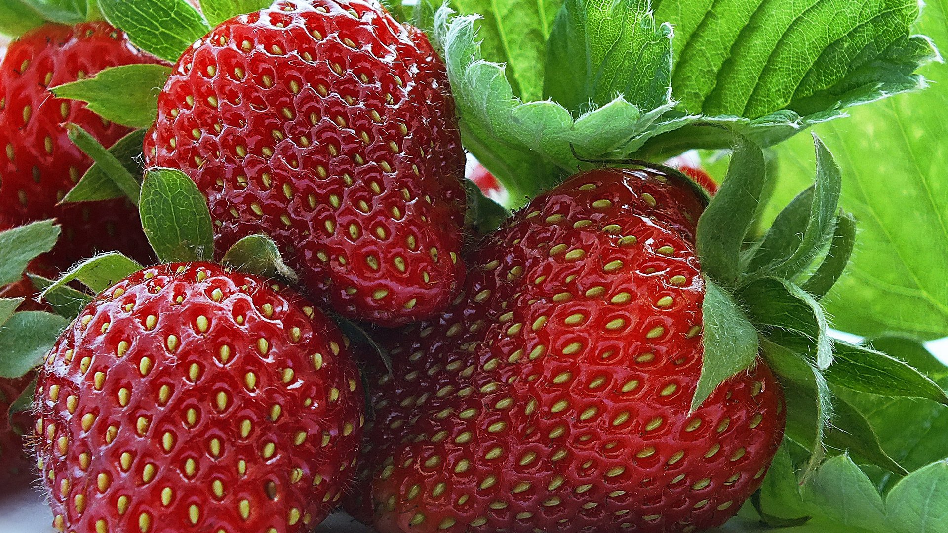 Картинки на рабочий стол лето фрукты на весь экран