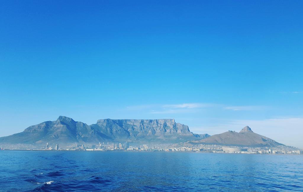 @SobAlert tweet media