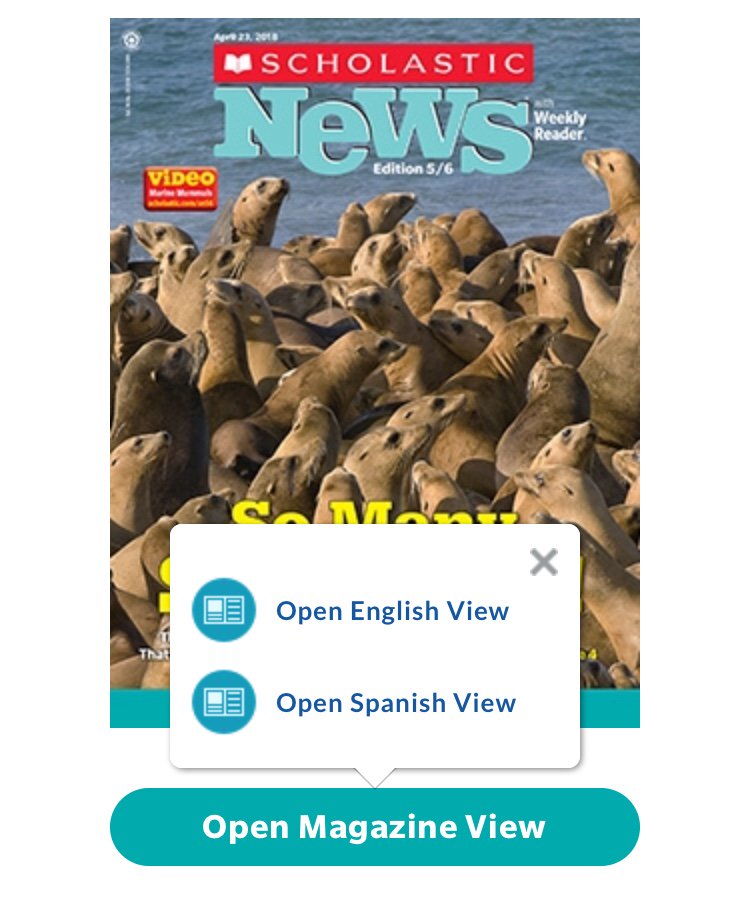 ElenaQSN's tweet image. Did you know Scholastic News has Spanish translations and multiple reading levels available online? #differentiateinstruction ✅ #diverselearners ✅ @ScholasticTeach