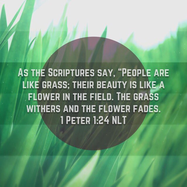 Bryan Packard (@bpfbrc) on Twitter photo 