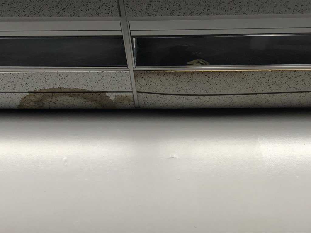 NordeckeNanny's tweet photo. 1) I had a great time at #RockOnTheRange this weekend. Absolute blast. But I was embarrassed by the condition of the Upper 90 Club. Water stains all over the ceiling and floor, and the ones right above the doorway to the bathroom were actively dripping brown water onto the floor, https://t.co/BRwXHLsUYT