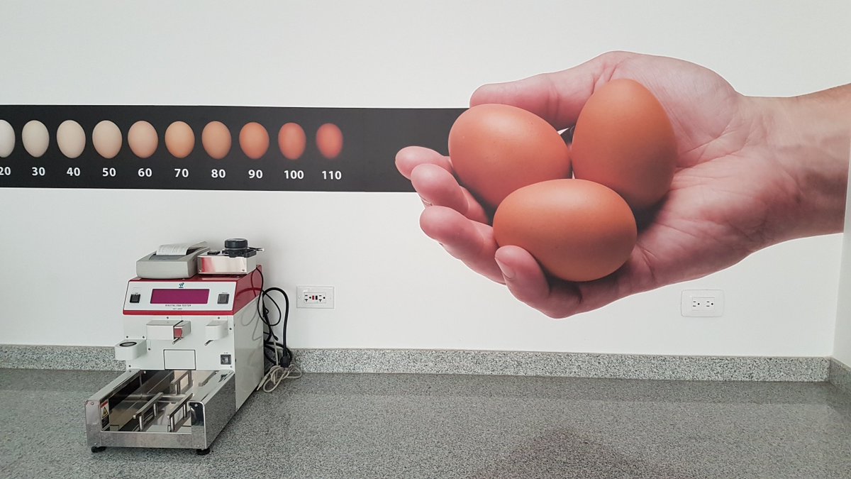 AvicolSA's tweet photo. ¿Sabías que contamos con un laboratorio para analizar la calidad de huevo? Mas información sobre esta noticia en https://t.co/KeLvZcchHj https://t.co/Y2kBqPhCw6