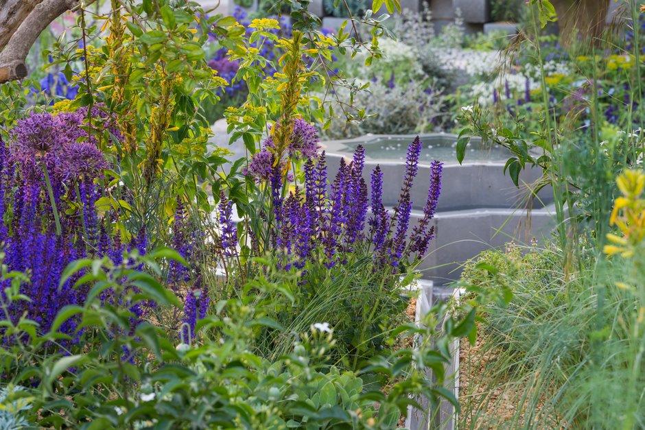 The_RHS's tweet photo. The @lemontreetrust Garden at #RHSChlesea designed by @tommassey is inspired by refugees living in Domiz camp in Northern Iraq. The garden was designed with their input and celebrates their ability to make the most of harsh living conditions https://t.co/0PW1jH0tWX https://t.co/ebGxDPoM5g