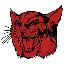 Good luck to golfers Gabriel Vielma from McCook, Benjamin Price from Superior, Sean Sheffer &amp; Austin Nickels from Waverly as they start competing in the State Golf Tournament today. Go Bison, Wildcats, and Vikings.
